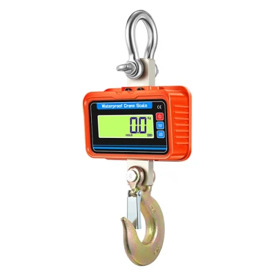 Hook scale for warehouse, 2000 kg, HDWR wagPRO-H2000